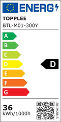 TOPPLEE Led Deckenleuchte Dimmbar,RGB Farbwechsel Deckenlampe mit Fernbedienung,Sternenhimmel Lampe für Kinderzimmer,Schlafzimmer,Wohnzimmer