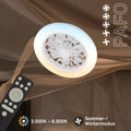 BRILONER - LED Deckenventilator mit Beleuchtung, Fernbedienung, Leiser DC-Motor, 5 Geschwindigkeiten, CCT, Dimmbar, Lampe mit Ventilator, LED Deckenleuchte, Deckenlampe Ventilator, 38 cm, Weiß