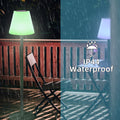 MALUX Solar Stehlampe Outdoor Mit Warmweiß RGB 8 Farben LED USB Aufladbar IP44 Wasserdicht Für Garten Terrasse Balkon Innenbereich Außenbereich Dekor 150 cm Schwarz