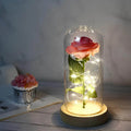 beauty-und-das-biest-glasrose-led-beleuchtung-romantische-dekoration-xlumina3