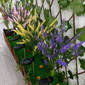 lavenderglow-solarlampe-aussenbeleuchtung-umweltfreundlich-wetterfest-energieeffizient-xlumina8
