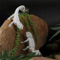 lizardlampe-tischlampe-schwarz-weiss-elegante-beleuchtung-xlumina6