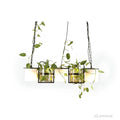nest-barrel-gruenes-glas-pendelleuchte-schwarz-e27-modern-luxus-xlumina4