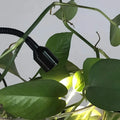 nest-barrel-gruenes-glas-pendelleuchte-schwarz-e27-modern-luxus-xlumina3