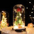 weihnachtsbeleuchtung-led-lichterkette-wasserdicht-xlumina3
